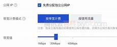 有个叫Scytl的西班牙公司在美国的大选中提供投票和