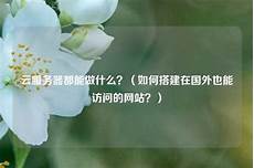美国服务器打开国外网页 美国站群服务器租用规定,美国服务器美国服